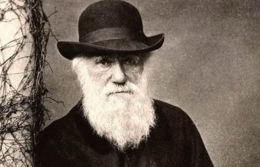 达尔文的生平事迹