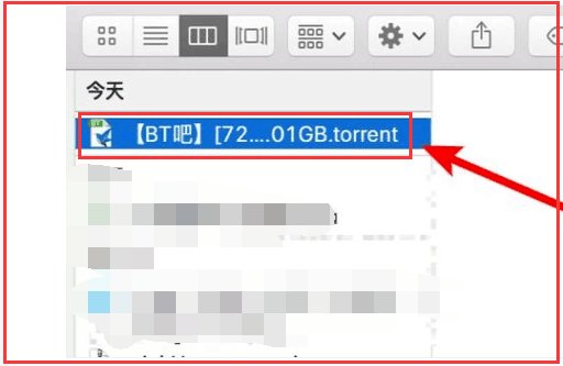 迅雷bt下载的时候，有一些不能下载？