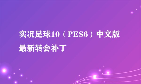 实况足球10（PES6）中文版最新转会补丁