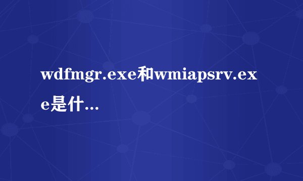 wdfmgr.exe和wmiapsrv.exe是什么进程?