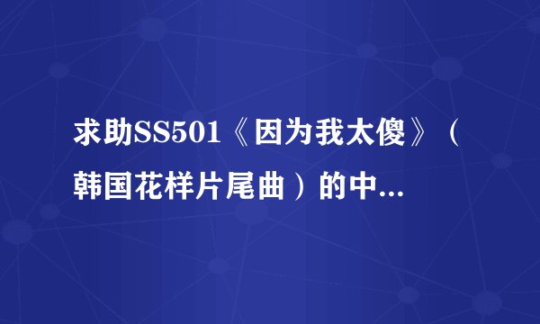 求助SS501《因为我太傻》（韩国花样片尾曲）的中文歌词？