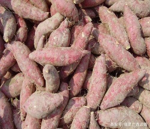 自己家种了很多红薯吃不完,如何保存更久?