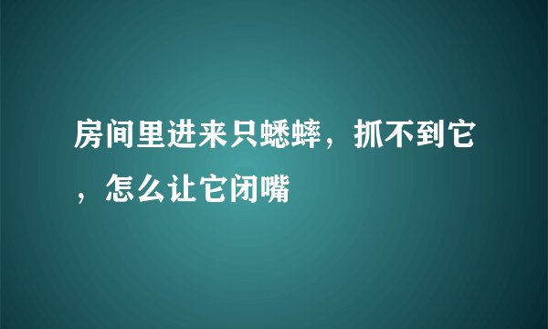 房间里进来只蟋蟀，抓不到它，怎么让它闭嘴