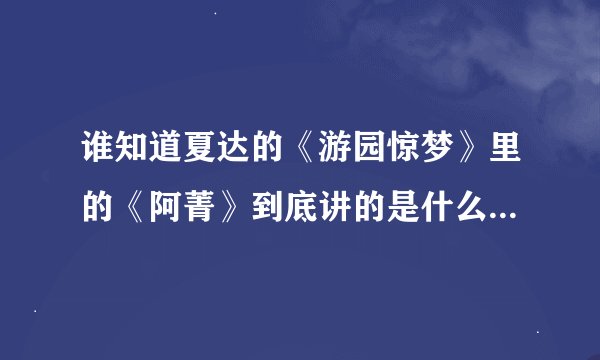 谁知道夏达的《游园惊梦》里的《阿菁》到底讲的是什么，看了好几遍还是没看懂