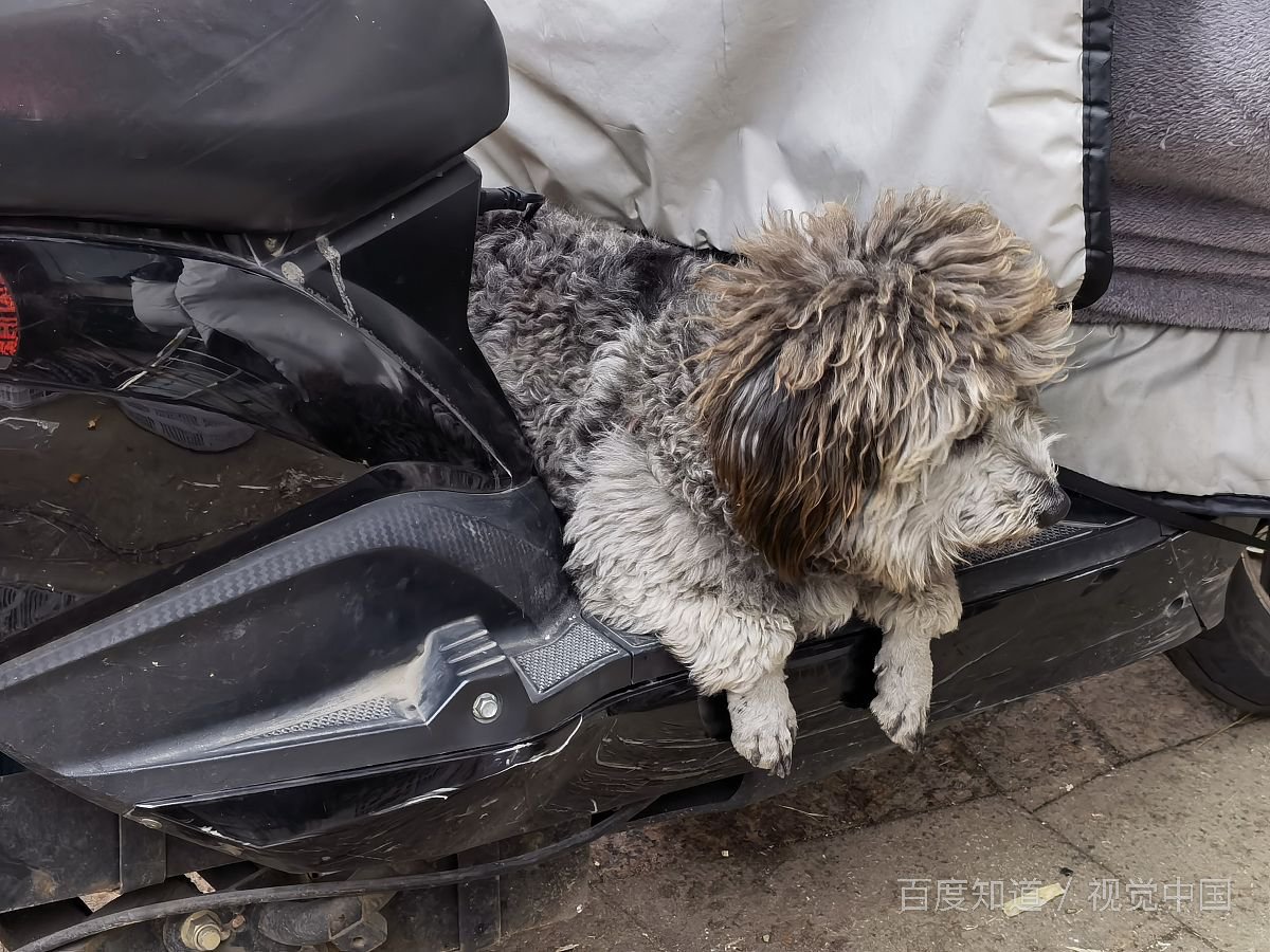 男生说你乖的意思是什么