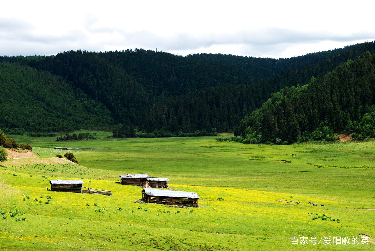 请问电视剧《司藤》里，达那是在哪里？