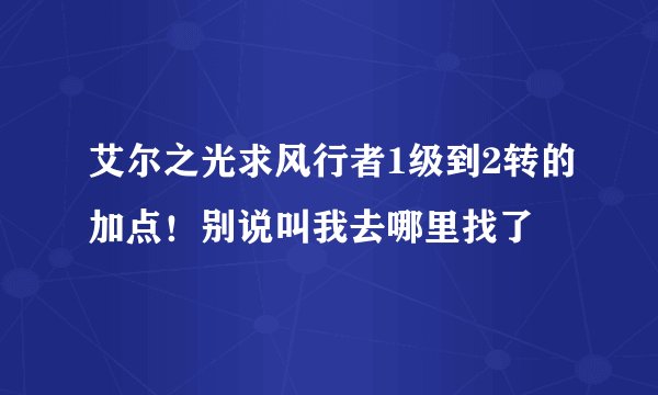 艾尔之光求风行者1级到2转的加点！别说叫我去哪里找了