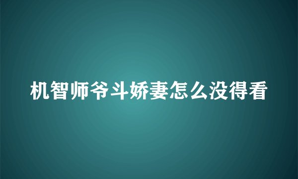 机智师爷斗娇妻怎么没得看
