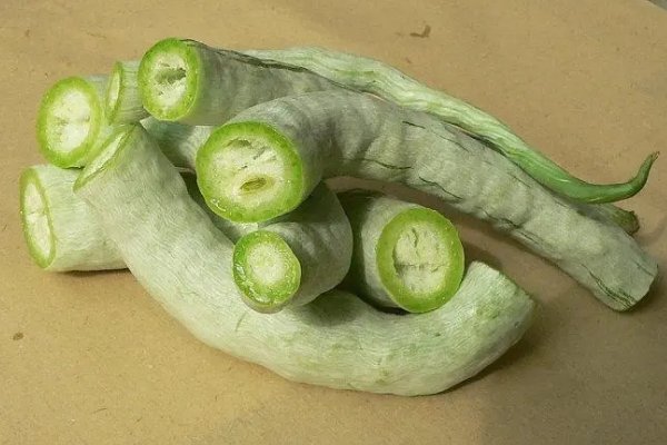 长得像蛇的豆角叫什么