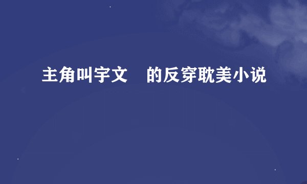 主角叫宇文珣的反穿耽美小说