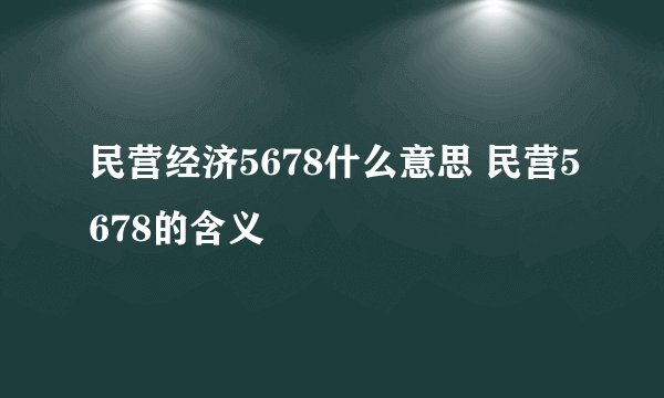 民营经济5678什么意思 民营5678的含义