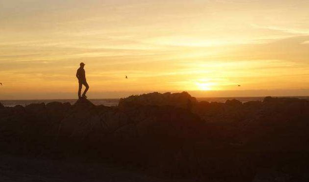 以梦为马，不负韶华的含义是什么？