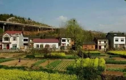 农村土地确权后,对于不符合一户一宅的房屋一般怎么处理?