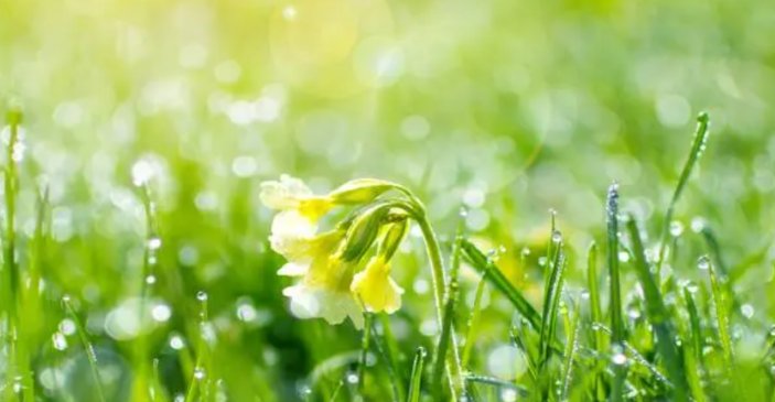 2023年躲春的属相马