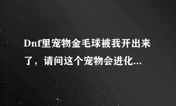 Dnf里宠物金毛球被我开出来了，请问这个宠物会进化吗？带攻击吗？