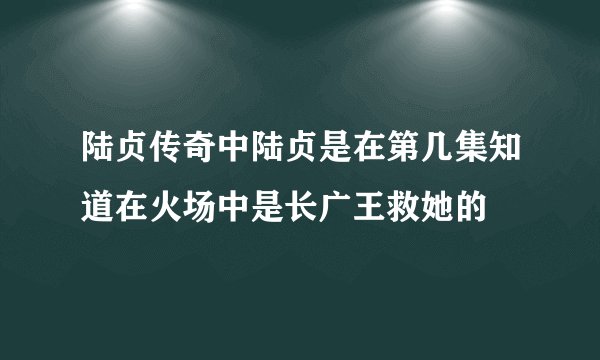 陆贞传奇中陆贞是在第几集知道在火场中是长广王救她的