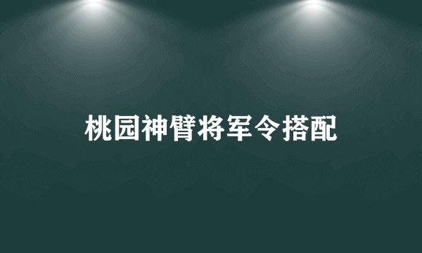 桃园神臂将军令搭配