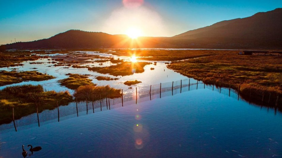 “心若没有栖息的地方，到哪里都是在流浪。”——什么意思。一个女孩给我说过？