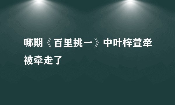 哪期《百里挑一》中叶梓萱牵被牵走了
