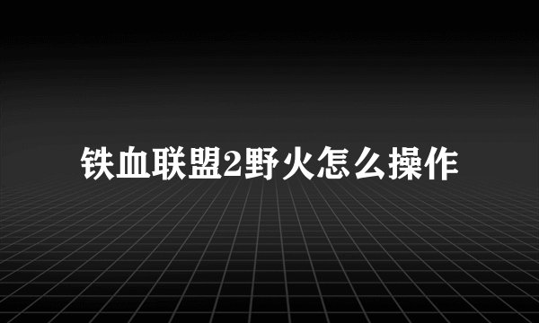 铁血联盟2野火怎么操作