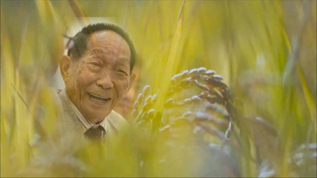 袁隆平家属以书面形式致答谢辞，如何评价袁隆平的一生？