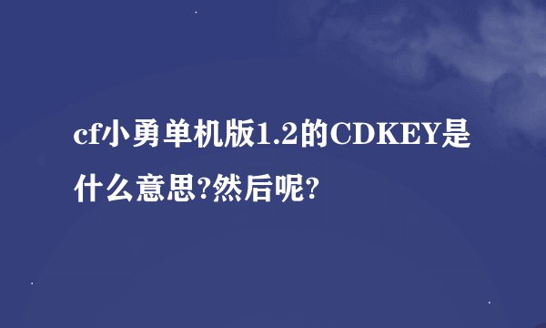 cf小勇单机版1.2的CDKEY是什么意思?然后呢?