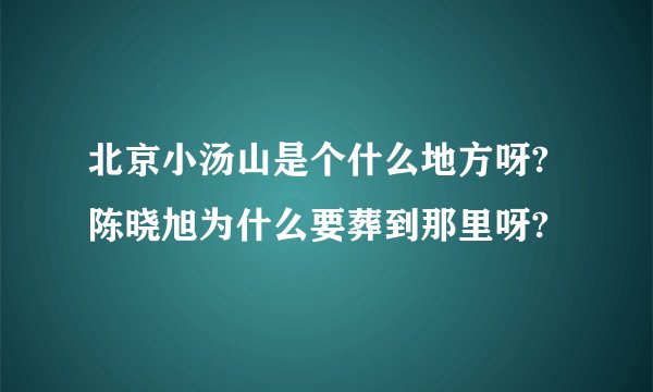 北京小汤山是个什么地方呀?陈晓旭为什么要葬到那里呀?