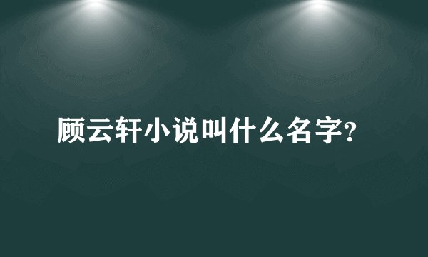 顾云轩小说叫什么名字？