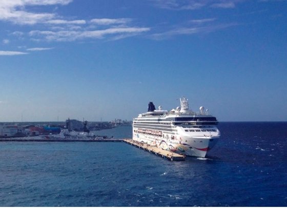 全球最大邮轮公司巨亏44亿美元是真的吗？