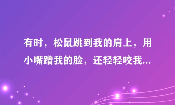 有时，松鼠跳到我的肩上，用小嘴蹭我的脸，还轻轻咬我的耳朵，我想它是又想吃糖了