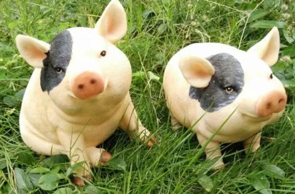 千夫所指什么生肖