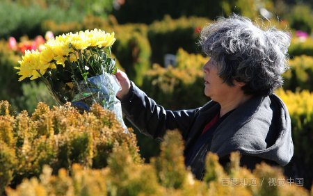 2020年几月几号冬至