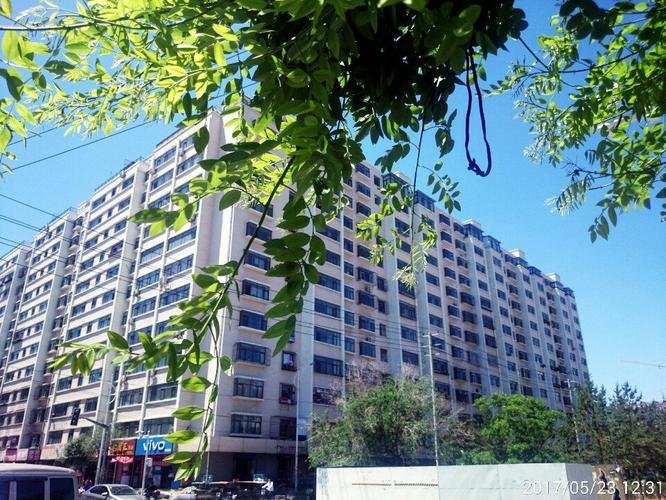 内蒙古包头全市进入静止状态，街道小区实行了怎样的管理？