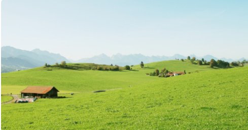愿你被这个世界温柔以待的前半句是什么