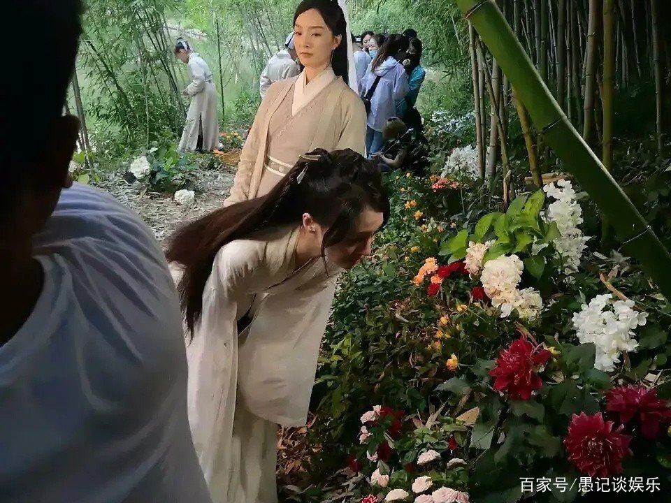 《倩女幽魂》或将面临取消播出,造成的损失谁来承担?