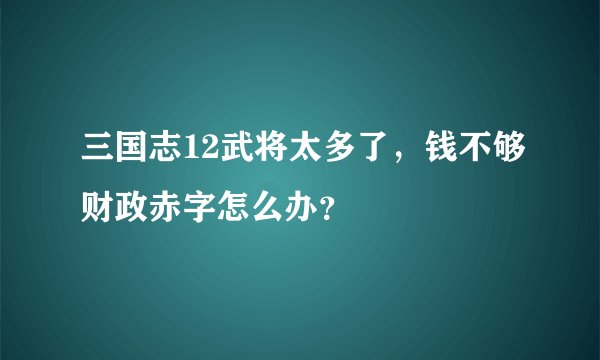 三国志12武将太多了，钱不够财政赤字怎么办？