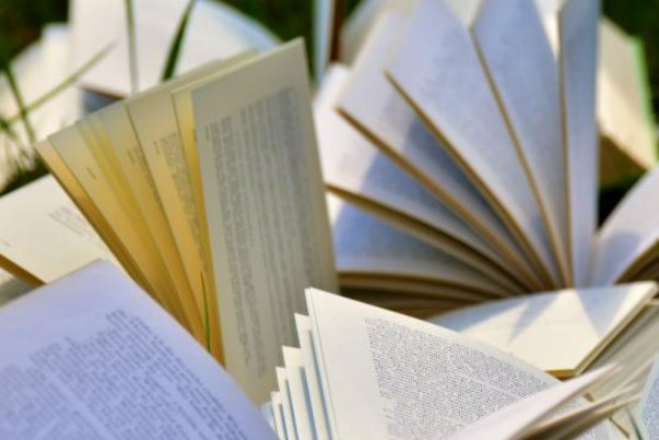 有没有什么好看的多肉古代言情文推荐？