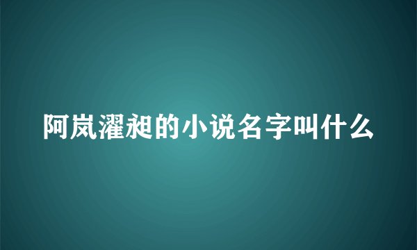 阿岚濯昶的小说名字叫什么