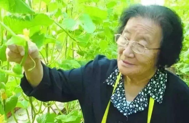 被称为甜瓜大王的是哪一位院士？她为什么会被称为“甜瓜大王”呢？