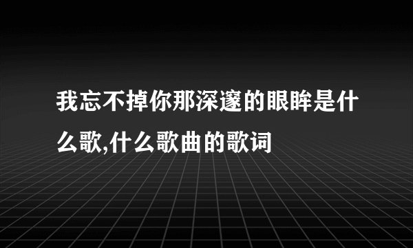 我忘不掉你那深邃的眼眸是什么歌,什么歌曲的歌词