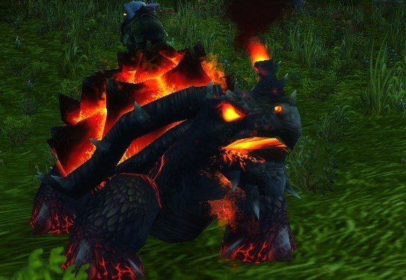 魔兽猎人的稀有乌龟哪里抓？多少级可以抓？