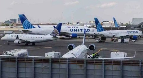 美国一航班惊现活蛇，乘客尖叫连连，遇到蛇应该如何自保？