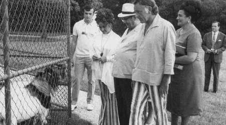 苏捷什卡战役被称为二战最惨战役，这场战争究竟有多惨？