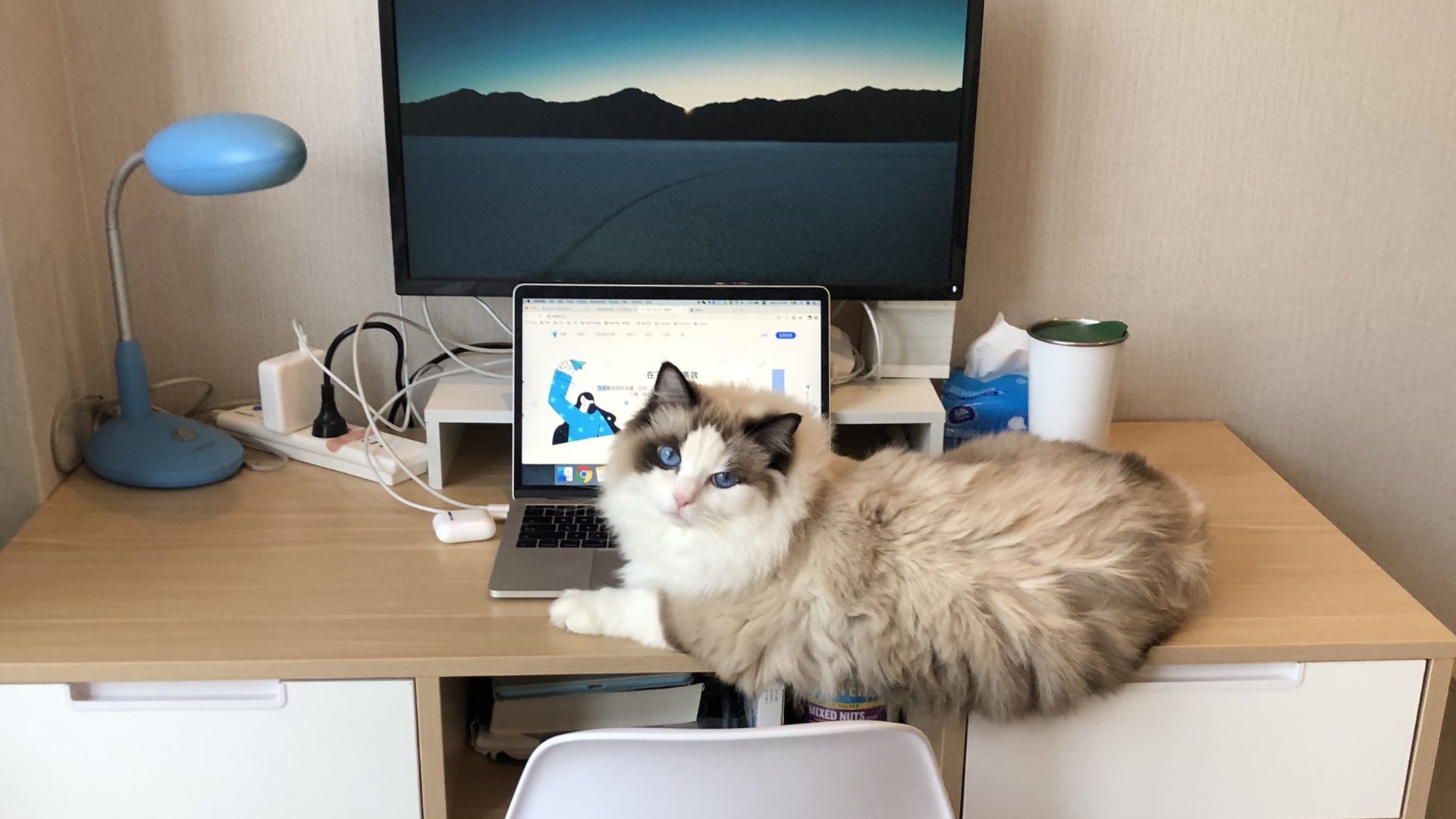 员工居家办公被公司用摄像头盯梢,你愿意居家办公吗?