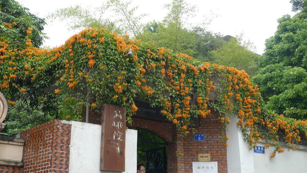 厦门鼓浪屿有哪些比较好的家庭旅馆?