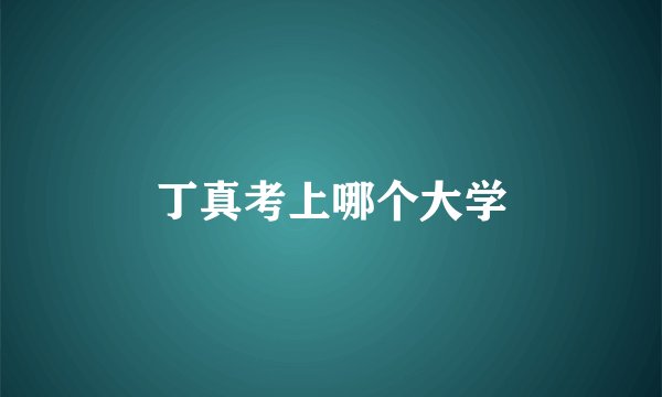 丁真考上哪个大学