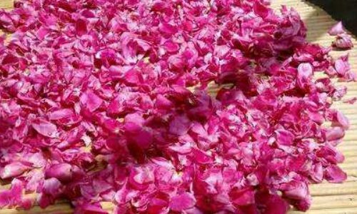 如何晒玫瑰花干