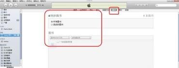 ibook支持什么格式 ipad