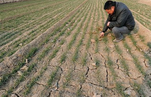 中国南方旱情严重,47万人饮水困难,为什么今年的雨水那么少?
