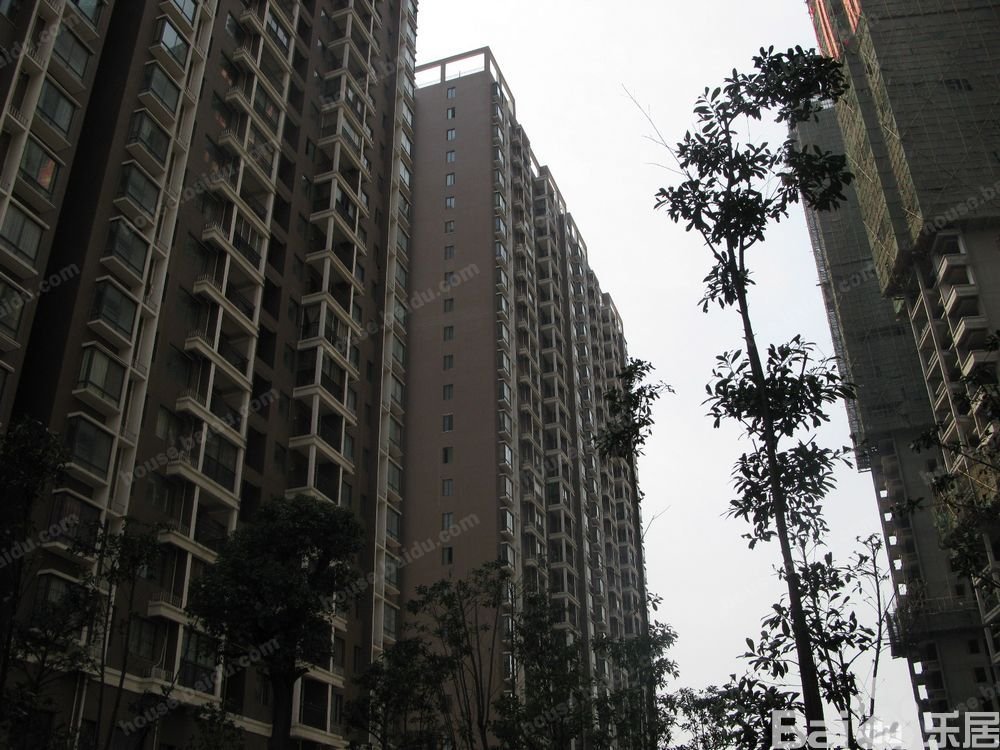 圆梦完美生活的项目简介